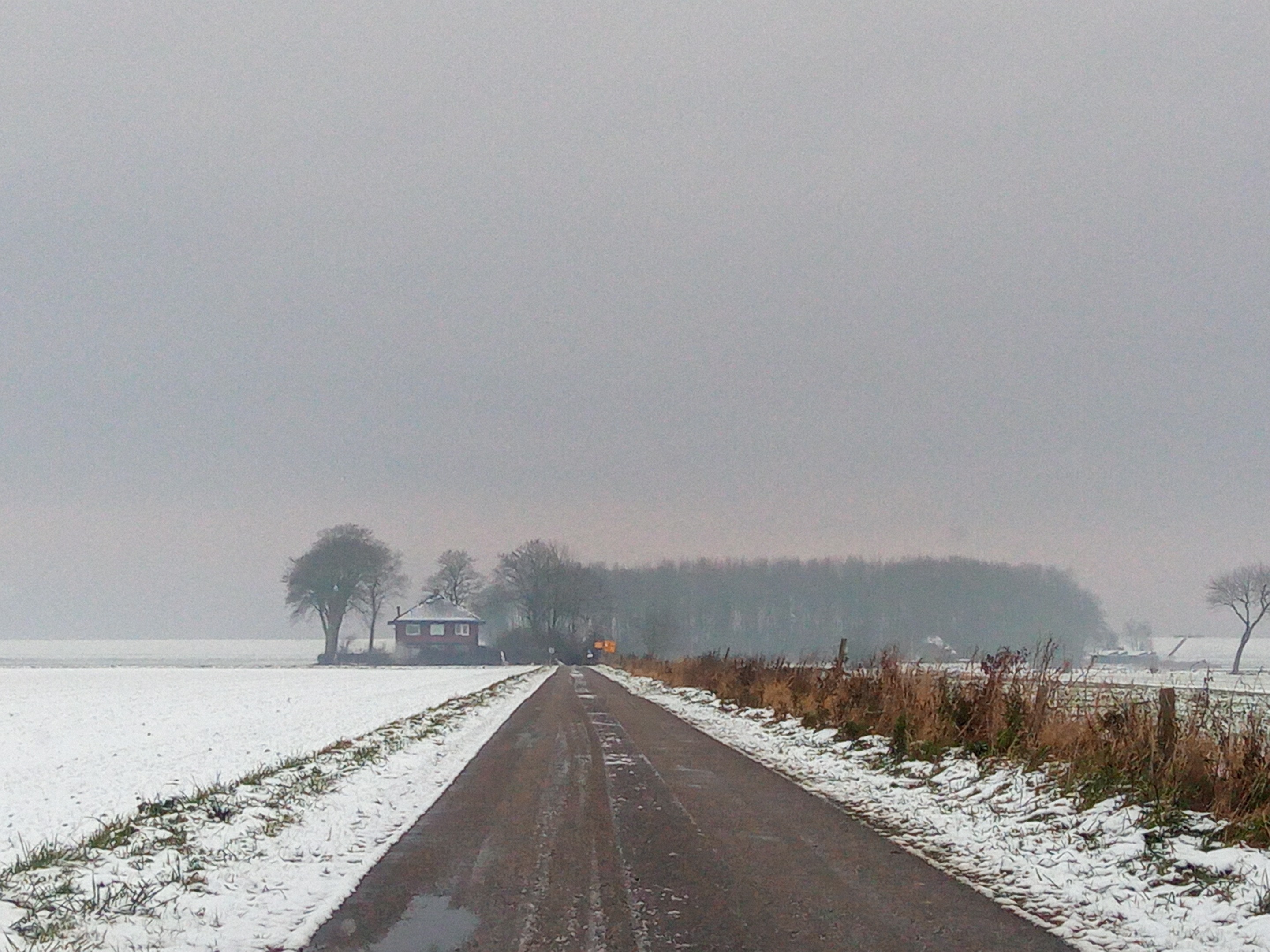 Am Ende des Polders, kurz vor dem Deich, liegt das "Ambonezenbosje"